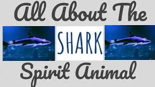 🦈 ⭐ THE SHARK SPIRIT ⭐ 🦈 The Shark as your Spirit Animal & its Symbolism