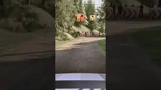 Full Send in Alsace #rally #acrally #assettocorsarally #simracing #racingsimulation #peugeot #racing