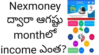 august month income proof in nexmoney  by smart things