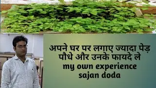#tree #plant Tree plantation||health benefits|| #पेड़ लगाए  by SajanDoda