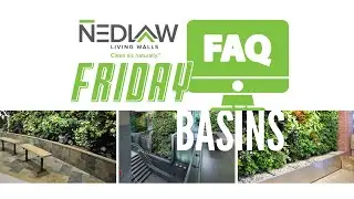 FRIDAY FAQ with Adam Holder - Episode 16 (The Basin)