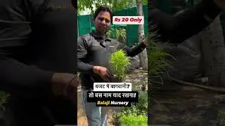 सबसे सस्ते पौधे कहाँ मिलते हैं? हज़ारों वैरायटी सिर्फ Balaji Nursery पर | Indoor & Outdoor Plants