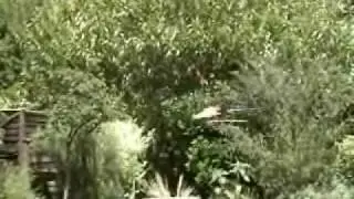 HK450 Vid_0001.wmv