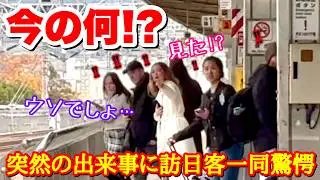 「日本は何てものを作ったんだ…」突然高速で過ぎ去る新幹線に驚きまくり