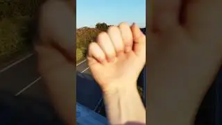 Die LKW Fahrer Hupen 🎉