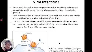 BMT 311 Lec 15 Immune response to infections