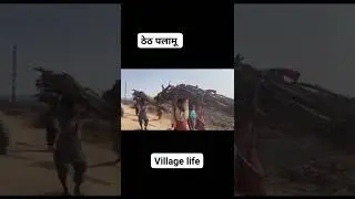 #ठेठ_पलामू #villagelife #palamu #villageboy