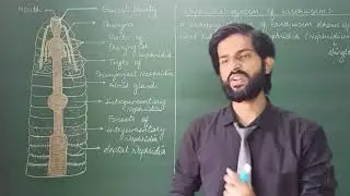 Excretory System | Nephridial System of Earthworm | Septal Integumentary Pharyngeal Nephridia | NEET