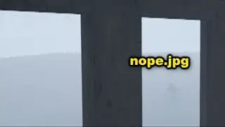 Mist Survival Viewer could Watch. Video.
