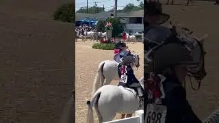Tinkerbell leadline wec clips