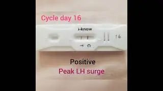How i found my ovulation date? i-know ovulation kit | results😇