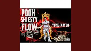 Pooh Shiesty Flow