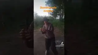 Dumblazuviu zvejyba Dvariukai #fishing