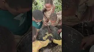Hadzabe daily life adventures #HadzabeCulture #Hadzabe #hadzabetribe #Hadzabereels #hadzabelife