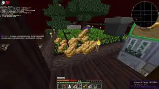 GTNH Nether Run 36 | Alveary and more Blood Magic