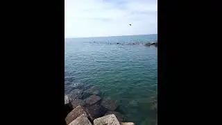 Salerno, Italy.