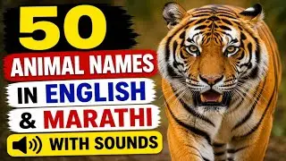 50 Animals Name and Sound | English To Marathi | Animals For Kids | Animal Names | Vocabulary 