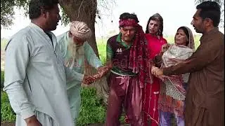 Wali dad funny video #sheru#tipu#titu#grari#shurli#chutki#taj#ramzi#walidadtv#rachnavitv#viral#foryo