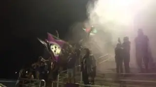 Iron Lion Firm - Purple Haze