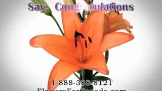 Flowers For Canada - Canadian FTD Florist- Flower Delivery