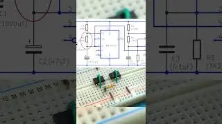 Bird sound doorbell circuit
