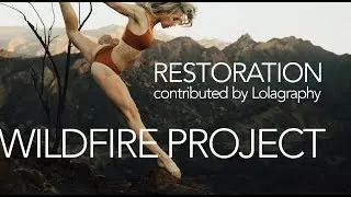 LOLAGRAPHY Restoration