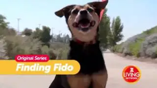 Finding Fido with Seth Casteel on Z Living