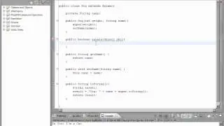 Java 18 Polymorphism