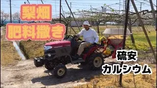 【ミニトラクター】梨畑の春の肥料撒き！【盈科】