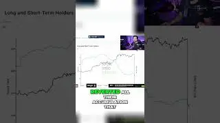 Is Bitcoin Headed for a Crash? Analyzing Market Signals and On-Chain Data