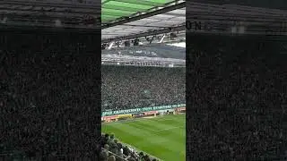 Block West kurz vor Derby Anpfiff | Rapid Wien vs. Austria Wien | 28.09.25 #ultras #rapid #tornados