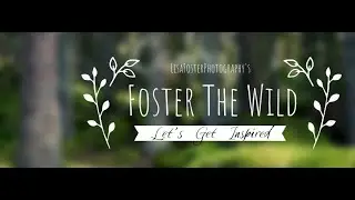 Lisa Foster Photography's 