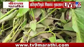 Beed च्या परळीमध्ये अतिवृष्टीमुळे पिकांचं नुकसान | Crop Loss | Rain Update