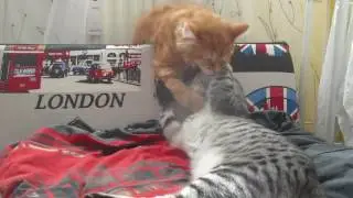 gentle playtime