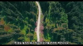 껍데기를 벗고진짜로 산다는 것