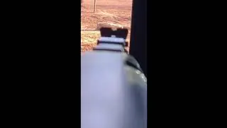 Collard dove dodges a bullet.  Hunting fail