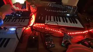 🎵 LiveJam on Tuesday p.7. Pocket Operators и Arturia Minibrute 2 и Microfreak в деле 🤘