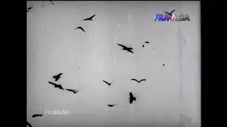 Jamrood Khan &ldquo;Title Card&rdquo; (1984)