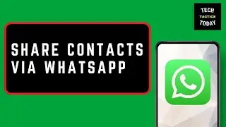 How to Share Phone Contacts via WhatsApp