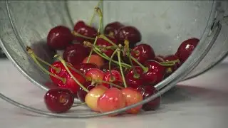 Farm to Fork: Local farmers market showcasing fresh produce