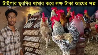 কুমিল্লার তরুণ উদ্যোক্তা শাওন টাইগার মুরগির খামার করে লক্ষ টাকা আয়ের সপ্ন। Morgi Farming