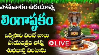 LIVE :  సోమవారం ఉదయాన్నే  లింగాష్టకం  మీ ఇంట్లో ధ్వనిస్తే శివయ్య అనుగ్రహం మీకు ఉంటుంది