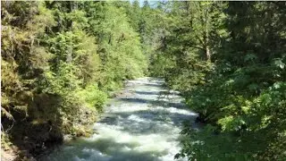 Serene Acoustic Vibes. Relaxing Ambient Music with Running Water