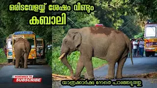 മലക്കപ്പാറ റൂട്ടിൽ യാത്രക്കാർക്കു നേരെ പാഞ്ഞടുത്തു കബാലി | Kabali elephant attack #malakkappara