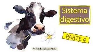 SISTEMA DIGESTIVO - parte 4 (anatomia veterinária)