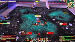 Protection Warrior Vs. Celestial Blessings Niuzao Challenge