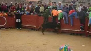 Cabrillas S.IsIdRo 2/2