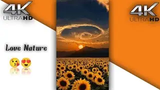 🌚Nature WhatsApp Status Full Screen 4k | Love Nature Status |Aesthetic Status Full Screen #nature