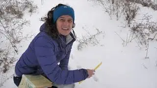 Week 18: Big Map Out- Animal Tracks in Snow