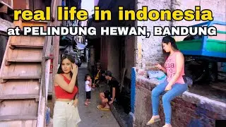 KEHIDUPAN SINGKAT di GANG TERSEMBUNYI PELINDUNG HEWAN, BANDUNG Indonesia🇮🇩 WALK TOUR ALLEY BANDUNG